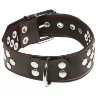 Ошейник с кольцом X-Play Collar With D-ring  
