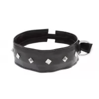 Полиуретановый ошейник с пуклями Collar with Studs черный 