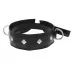 Полиуретановый ошейник с пуклями и D-кольцами Collar with Studs черный 