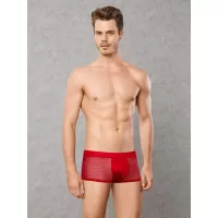 Мужские трусы-хипсы из мягкой эластичной сеточки Doreanse Sexy красный M