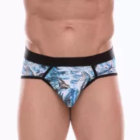 Мужские трусы-стринги с принтом в виде китов в волнах голубой M