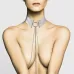 Серебристый ошейник с цепочками Desir Metallique Collar серебристый 