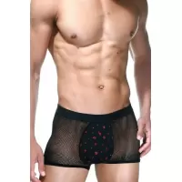 Черные сетчатые мужские боксеры черный L-XL