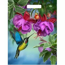 Пакет с принтом в виде колибри в цветах с вырубной ручкой (31х40 см разноцветный 