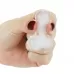 Розовая формочка для льда и шоколада Pecker Chocolate/Ice Tray розовый 