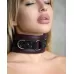 Бордовый ошейник Maroon Collar On The Strap бордовый 