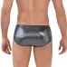 Серебристые трусы-брифы Chakra Latin Brief серебристый S