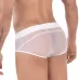 Белые полупрозрачные трусы-брифы Yin Yang Brief белый S