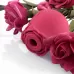 Красный вакуумный стимулятор Rose красный 