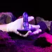 Фиолетовая анальная вибропробка с поступательными движениями Supernova фиолетовый 