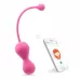 Подарочный набор: розовый тренажер Кегеля MAGIC KEGEL MASTER 2 и фиолетовые менструальные чаши фиолетовый с розовым 