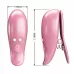 Розовые вибромассажеры для сосков с пультом ДУ Cayley розовый 