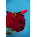 Красный вибратор-помада Pansies - 9 см красный 